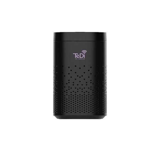 STeDi Alexa Smart Hub