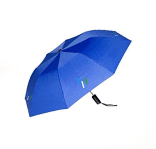 SLadies Umbrella